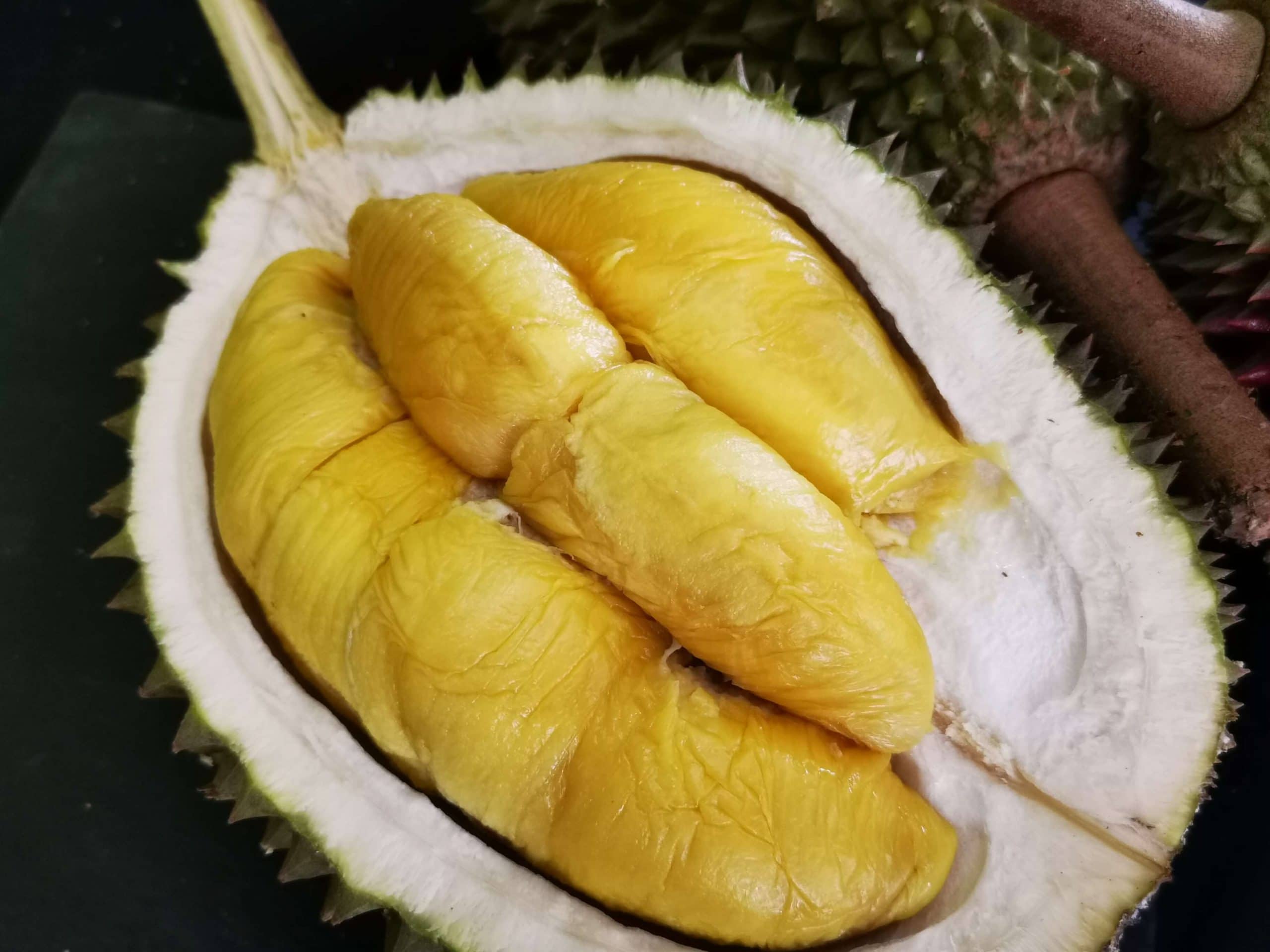 Black gold durian