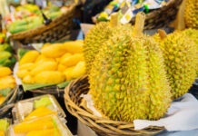 Everything to know about the demanding black gold durian