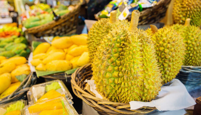 Everything to know about the demanding black gold durian