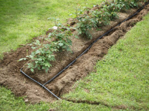 Installing Irrigation System