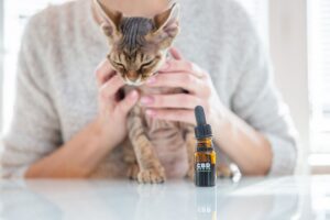 Catnip Spray