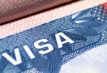 Best Service Providers for Getting Your Visas for Moving Abroad