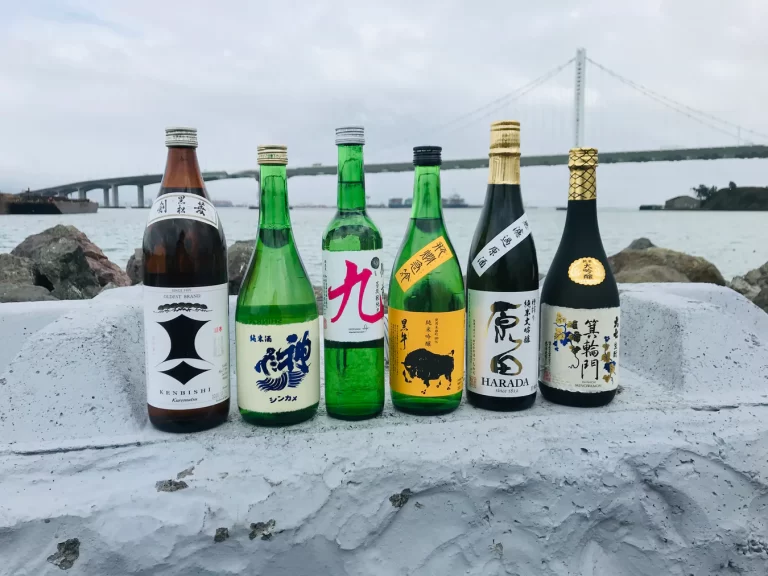 Learn Everything There Is to Know About Sake with This Guide to RNG Wine’s Sake Online Shop