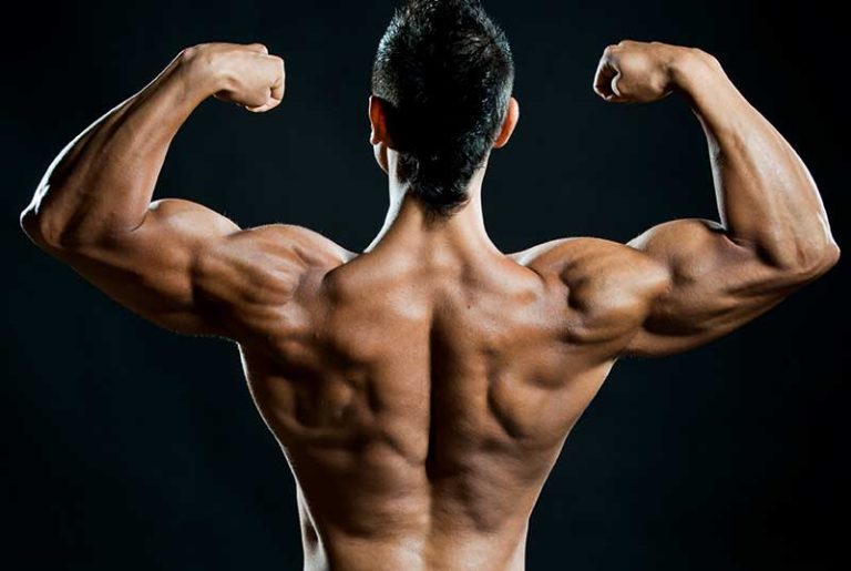 The Science Behind Trenbolone Acetate: How It Works and What to Expect