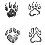 How to Create Personalized Gifts Using Your Pet’s Paw Prints